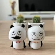 しろの画像