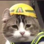 がっちゃの画像