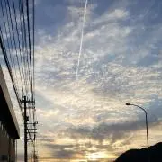 ？？の画像
