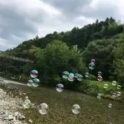Mikuの画像