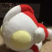 ya✨の画像