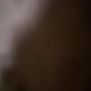 ロロ