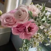 みちこはの画像