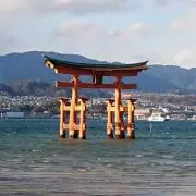 チョッパー