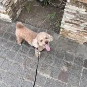 たらこぱぱ
