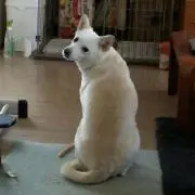 ヒロヒロ