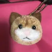 MARUの画像