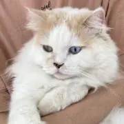 麗ママの画像