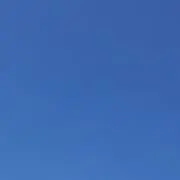 NMの画像