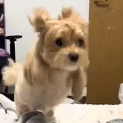 ウニの画像