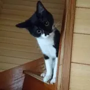 りょーへいの画像