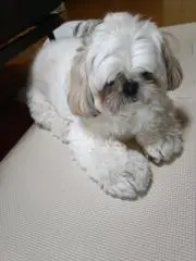 タイ