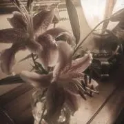♱の画像