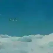 sariの画像