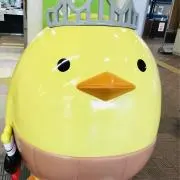 ねこ太郎の画像