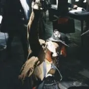 嗄井戸の画像