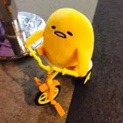 Kingの画像