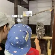 もちっとした餃子の画像