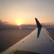 けけこけの画像