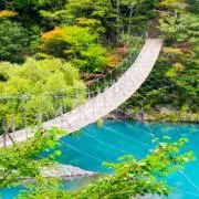 saitoの画像