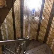 Shirotaの画像