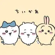 プロフィール確認してください@うさぎの画像