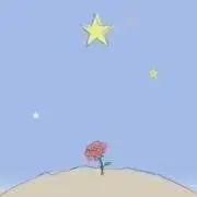 rose☆の画像