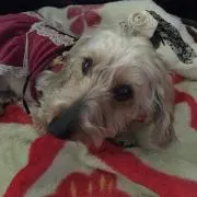 みほちゃん