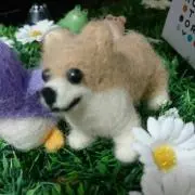 さだはるの画像
