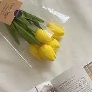 みみの画像