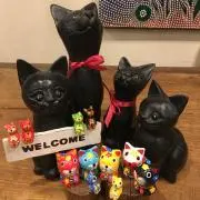 さくらの画像