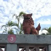 【即購入大歓迎！】ハロの画像