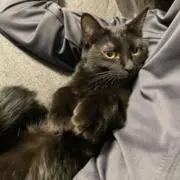 ひるの画像