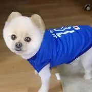 レオポン