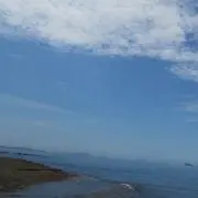 ＳＡＫＡＫＩＫＥＮ