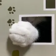 なぬたの画像
