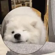 ♡の画像