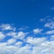 ささこばの画像