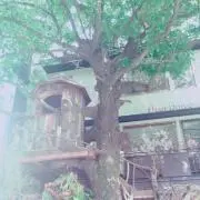 ぴっぴ