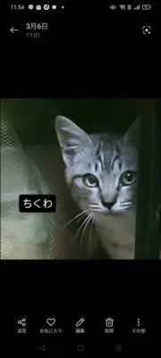 ちくわの画像