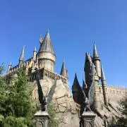 フォイ☆