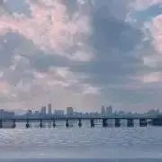 じじ 断捨離中の画像