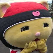 Mashの画像