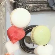 あんずの画像