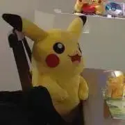 まりもの画像