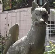 みかん