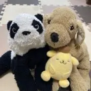 ♡にゃんぴ〜♡の画像