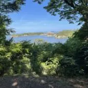 mの画像
