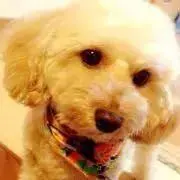 hiro☺︎の画像