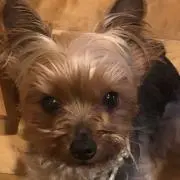 断捨離大好きの画像